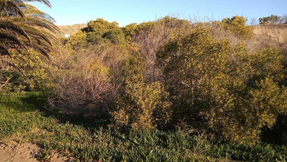 Lote En Sauce Grande,a 2 Cuadras Del Mar - Terreno en Venta en Monte Hermoso con 800 m2 de terreno - imagen 7