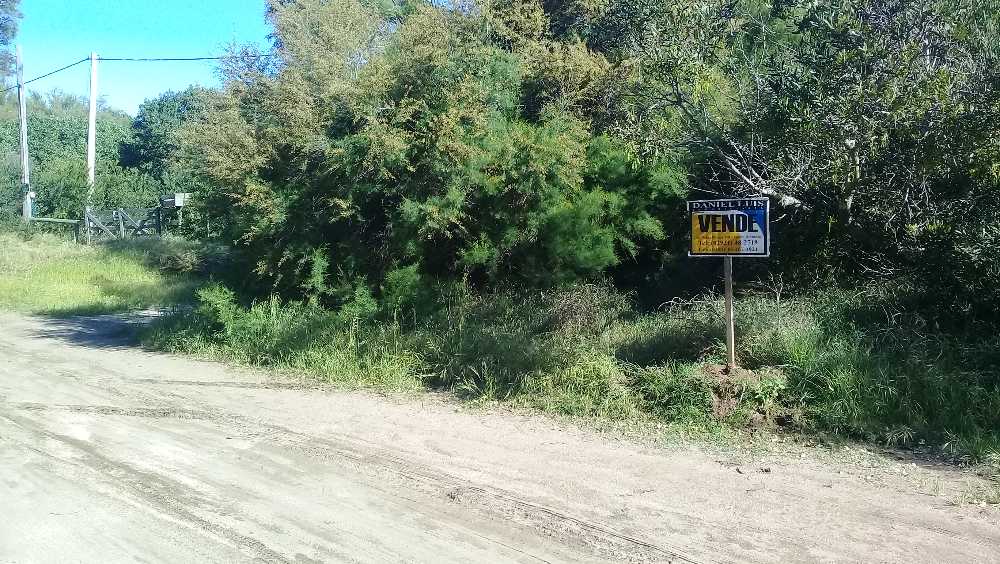 rodriguez peña y esquina el delta, Monte Hermoso