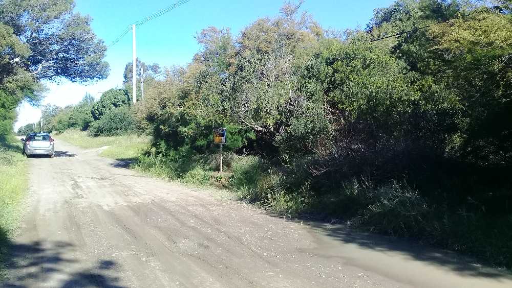 lote sauce grande - excelente ubicacion - Imagen 2