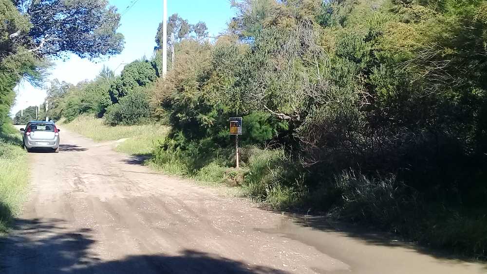lote sauce grande - excelente ubicacion - Imagen 3