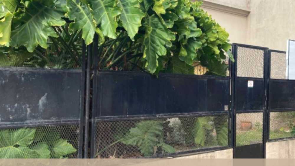 Casa A Reciclar En Venta 2 Dormitorios - Casa en Venta en La Plata con 2 dorm., 3 amb., 80 m2 cubiertos y 600 m2 totales - imagen 6