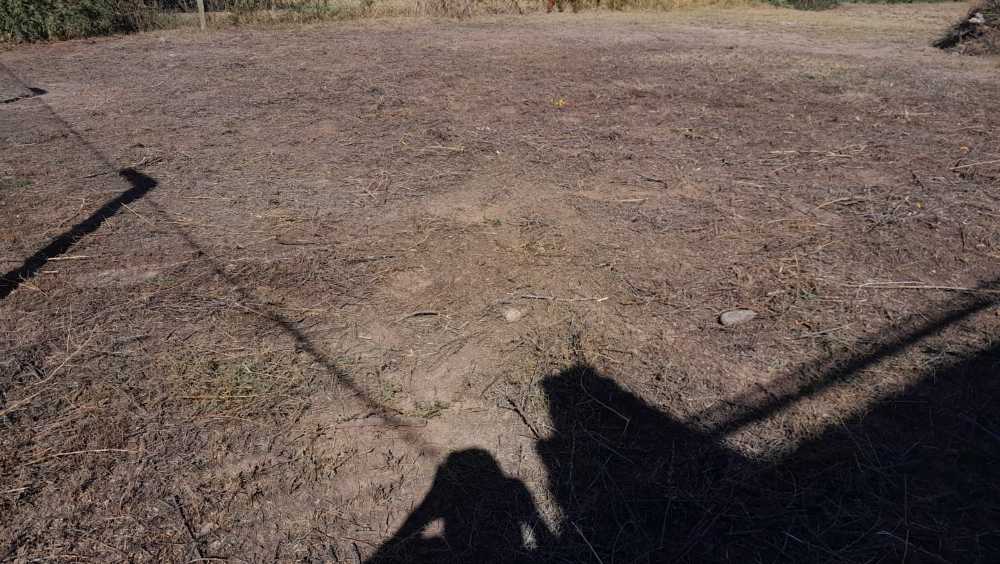 Venta De Terreno En Maip Mendoza ( Particular) - Terreno en Venta en Maipu con 730 m2 de terreno - imagen 6