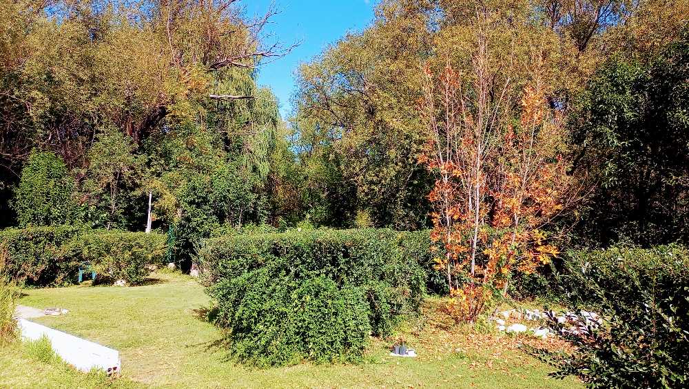 Vendo Casa En Potrero De Los Funes - Casa en Venta en San Luis con 3 dorm., 6 amb., 115 m2 cubiertos y 650 m2 totales - imagen 5