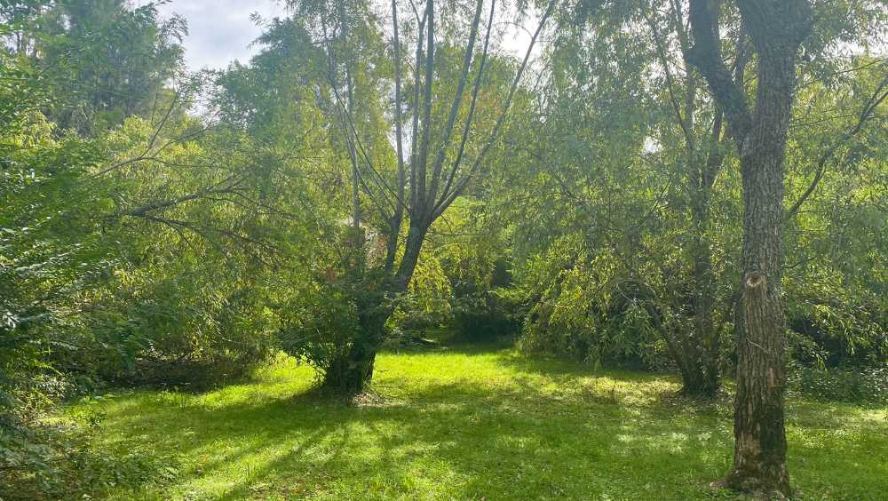 Casa Tipica Islea A 15 Minutos De Tigre - Casa en Venta en Tigre con 1 dorm., 2 amb., 50 m2 cubiertos y 1.000 m2 totales - imagen 6