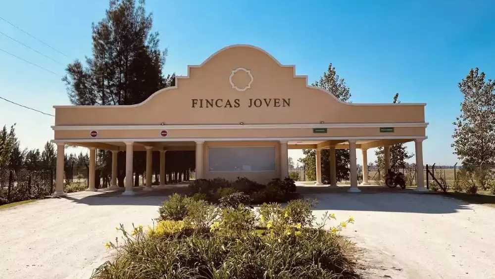 Fincas de San Vicente, San Vicente