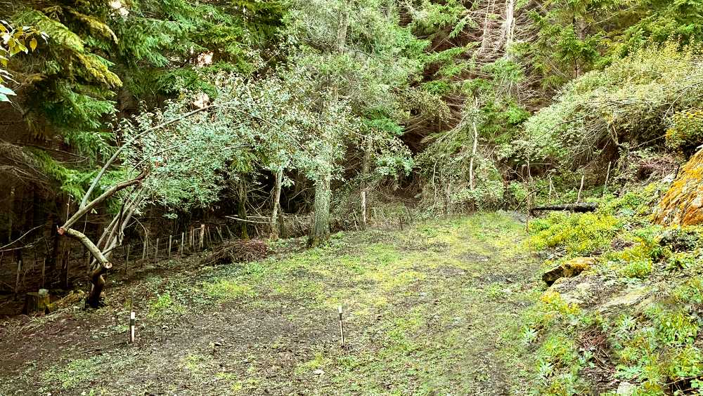 Se Vende Terreno En Lago Puelo - Terreno en Venta en Lago Puelo con 450 m2 de terreno - imagen 4