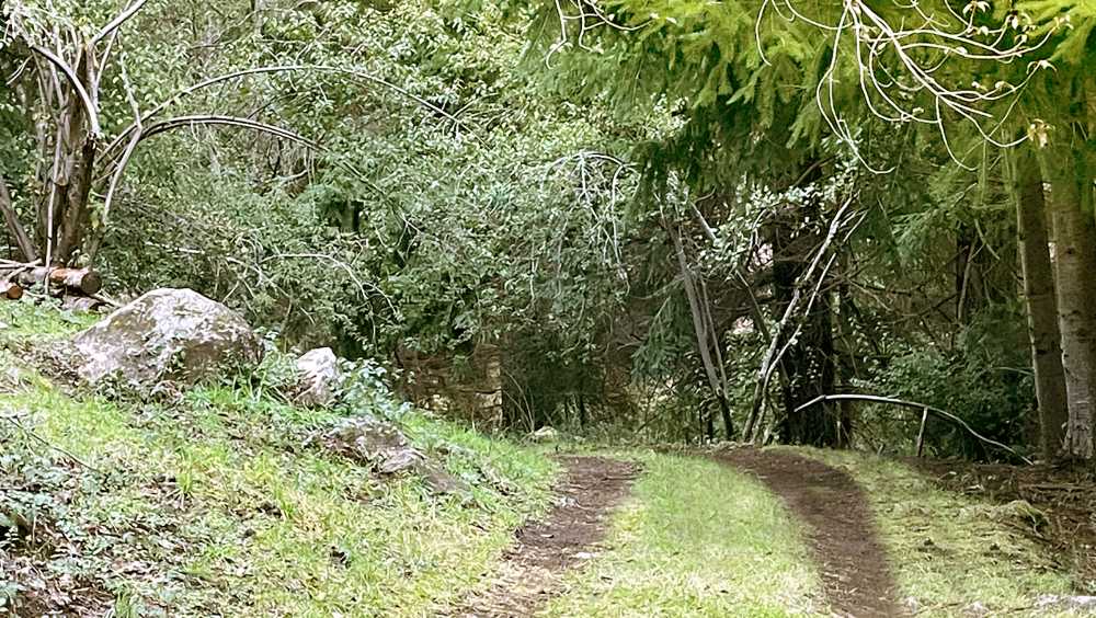 Se Vende Terreno En Lago Puelo - Terreno en Venta en Lago Puelo con 450 m2 de terreno - imagen 2