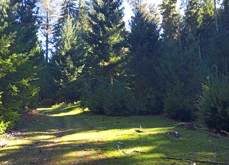 Se Venden Parcelas 5.000 M - Terreno en Venta en Lago Puelo con 5.000 m2 de terreno - imagen 3