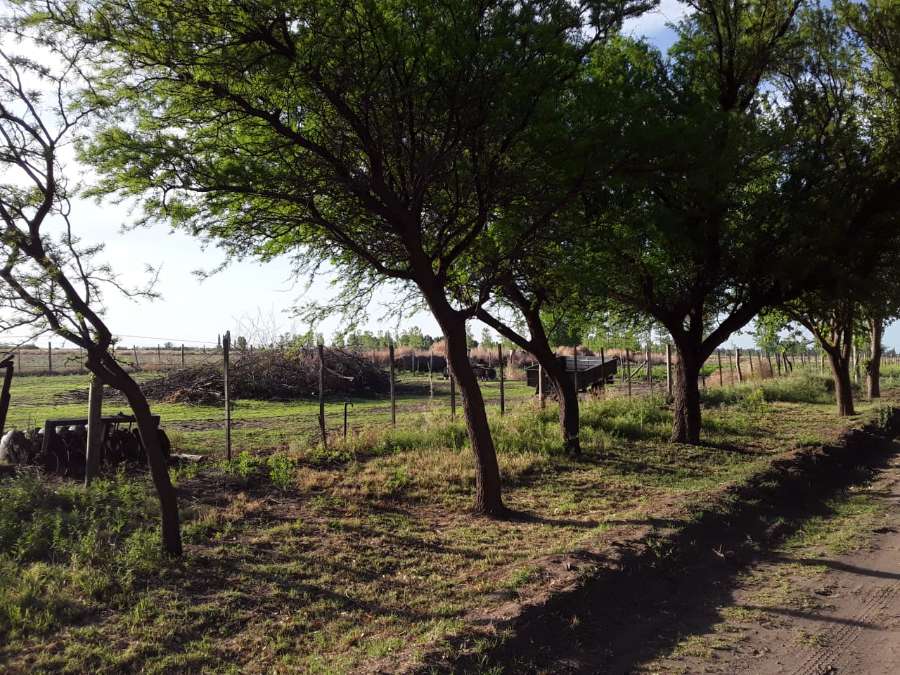 Oportunidad: Campo en Venta en San Rafael · dueño directo · 36 ha - Imagen 4