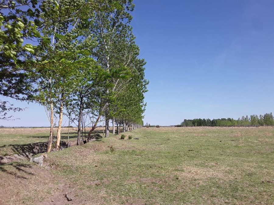 Vendo Finca 36 Hectreas. San Rafael - Campo en Venta en San Rafael con Mixto y 36 ha - imagen 5