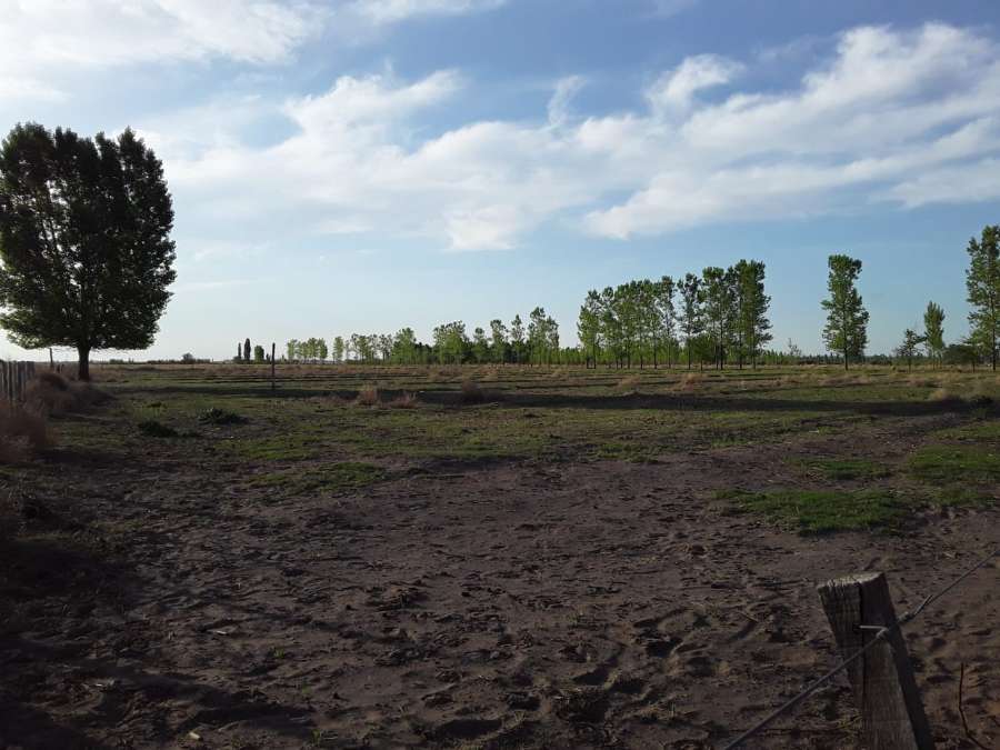 Vendo Finca 36 Hectreas. San Rafael - Campo en Venta en San Rafael con Mixto y 36 ha - imagen 7