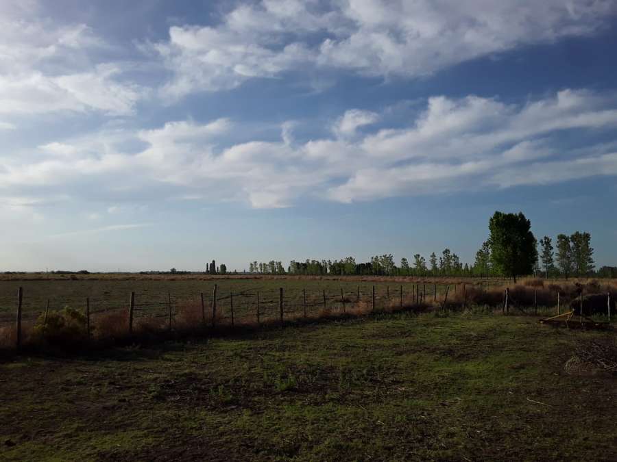 Vendo Finca 36 Hectreas. San Rafael - Campo en Venta en San Rafael con Mixto y 36 ha - imagen 8