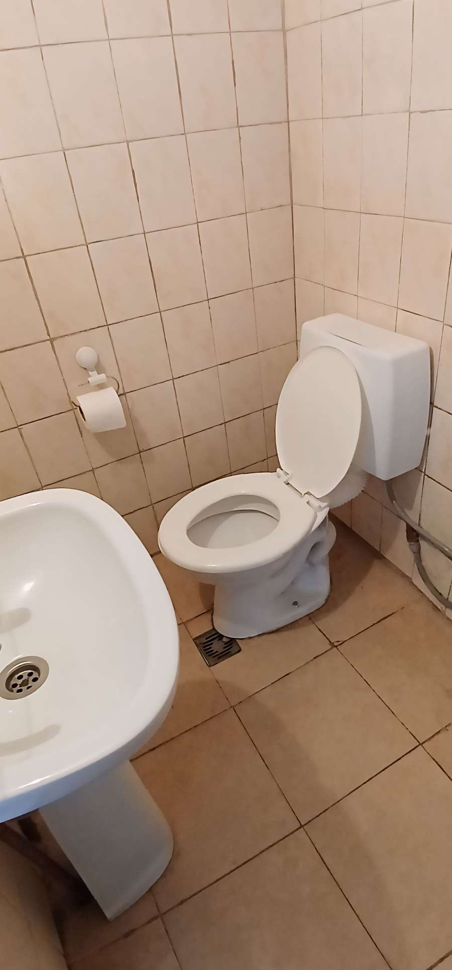 Departamento Interno Para Una Persona Sola (sin Excepcin). - Departamento en Alquiler en Godoy Cruz con 1 dorm., 2 amb. y 20 m2 cubiertos - imagen 9
