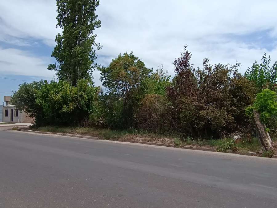 Terreno En Venta + Galpn De Material - Terreno en Venta en Maipu con 6.250 m2 de terreno - imagen 6