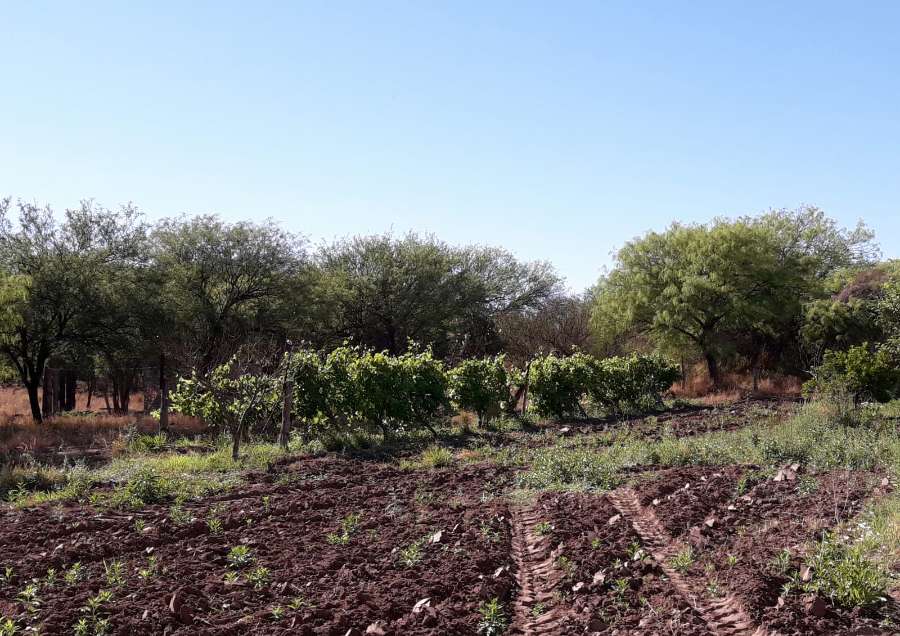 Vendo Campo Con Vivienda Principal Y Vivienda Cuidador/casero En Los Hormigueros - Campo en Venta en Córdoba con 30 ha - imagen 10