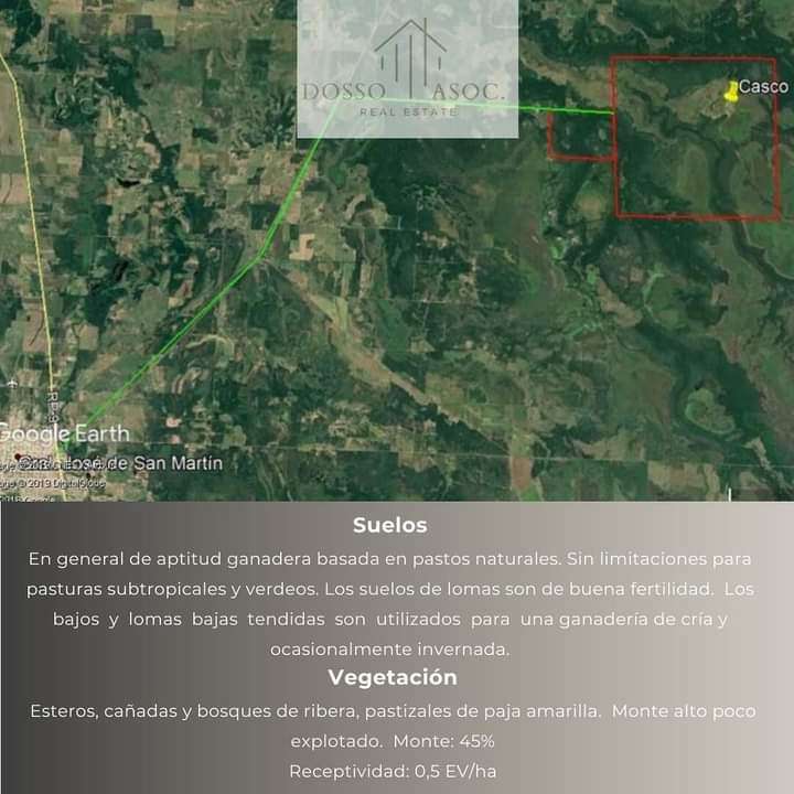 VENDE CAMPO GRAL SAN MARTÍN ‼️GANADERO - Imagen 2