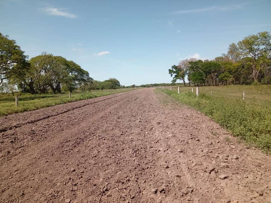 LAS PALMAS - CHACO, La Leonesa