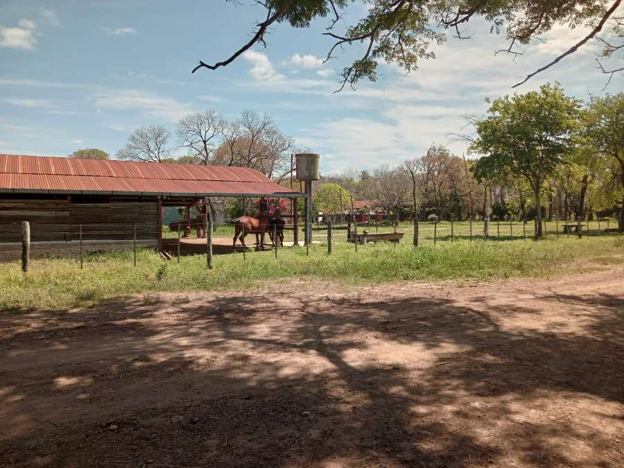 VENDE CAMPO 3500Has. Aprox . - Imagen 2