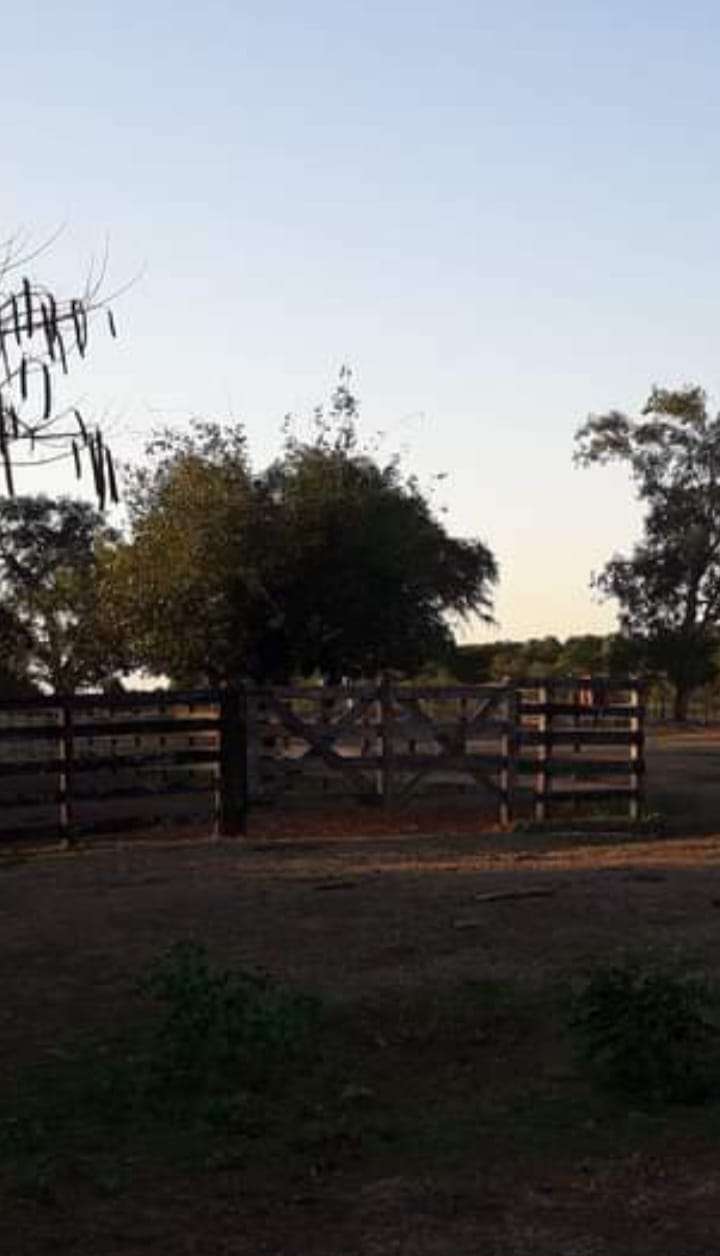 VENDE CAMPO 3500Has. Aprox . - Imagen 5