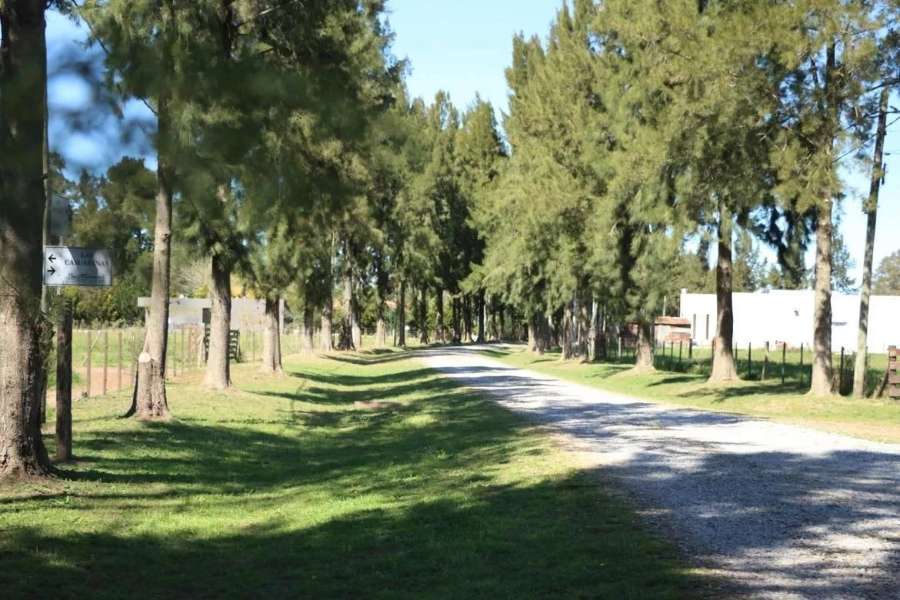 Lote de 5.866 m2 ubicado en el Barrio Estancia Las Malvinas I - Imagen 2