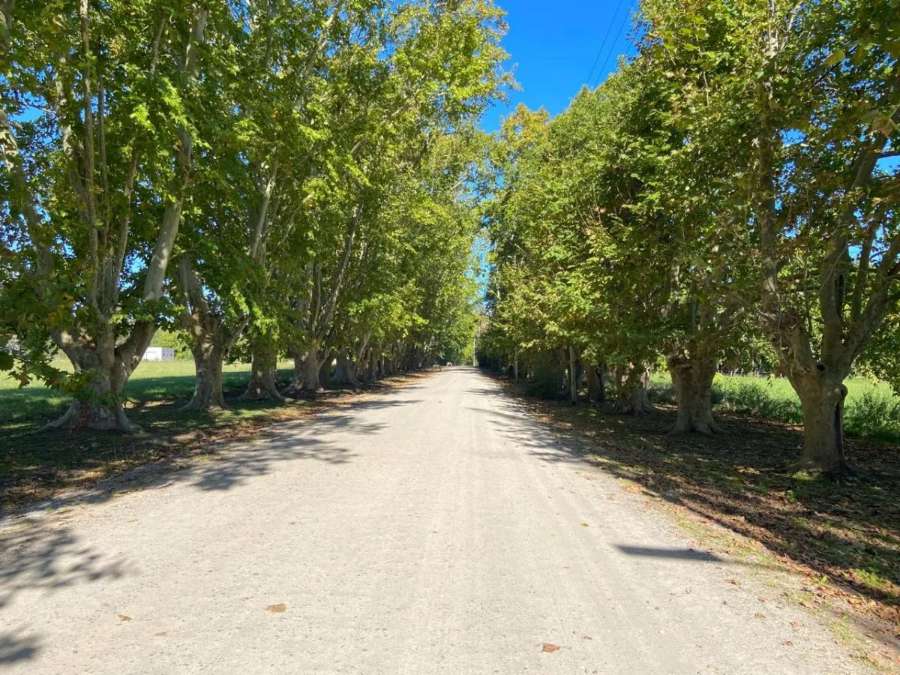 Lote de 5.866 m2 ubicado en el Barrio Estancia Las Malvinas I - Imagen 3