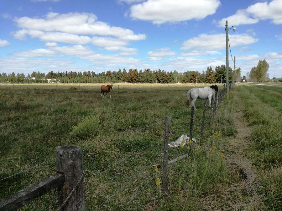 Lote de 5.866 m2 ubicado en el Barrio Estancia Las Malvinas I - Imagen 4