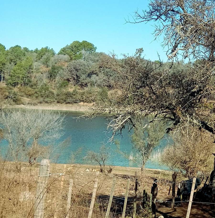 Lotes Con 40 M De Costa Navegable En Los Espinillos Lago Los Molinos 2500m2 - Terreno en Venta en Villa General Belgrano con 2.500 m2 de terreno - imagen 2
