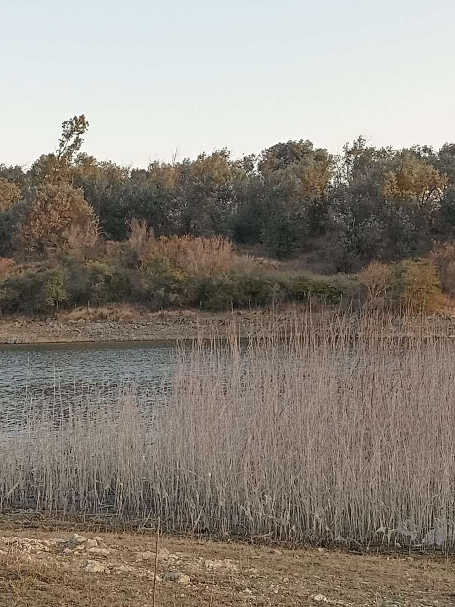 Lotes Con 40 M De Costa Navegable En Los Espinillos Lago Los Molinos 2500m2 - Terreno en Venta en Villa General Belgrano con 2.500 m2 de terreno - imagen 4