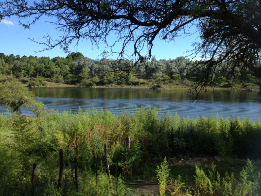 Lotes con 40 m de costa navegable en Los Espinillos Lago Los Molinos 2500m2