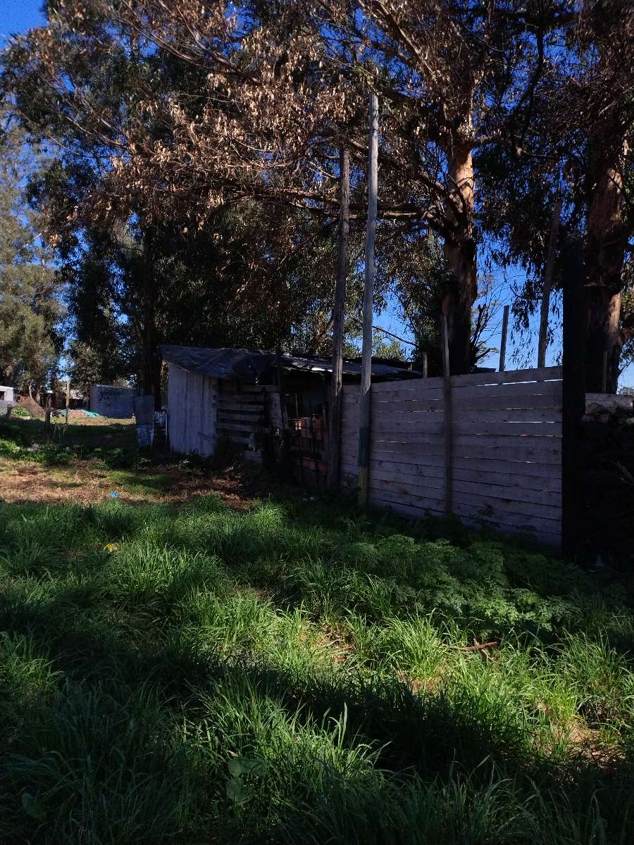 Terreno disponible en Mar del Plata · frente 31 m · largo 16 m · 500 m² de lote · dueño directo - Imagen 2