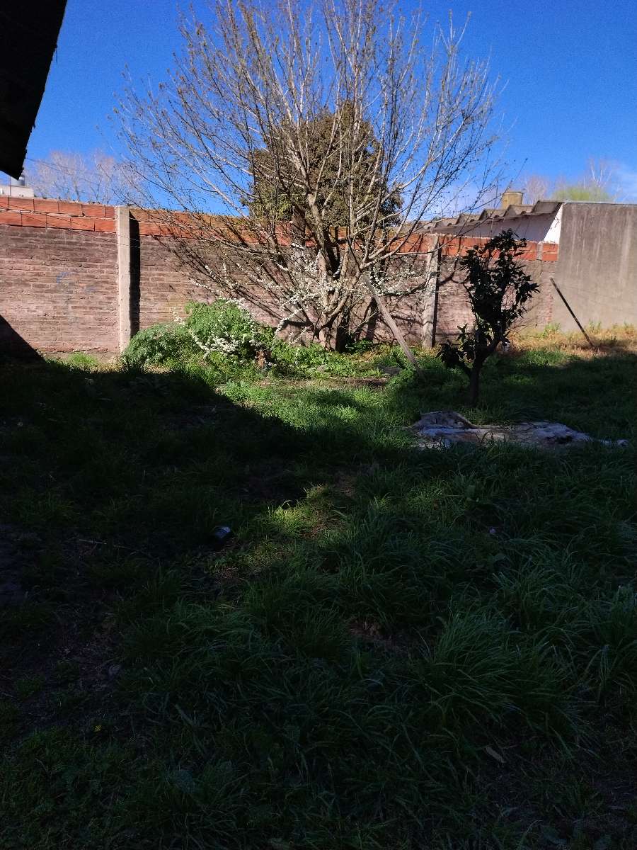 Terreno disponible en Mar del Plata · frente 31 m · largo 16 m · 500 m² de lote · dueño directo - Imagen 3