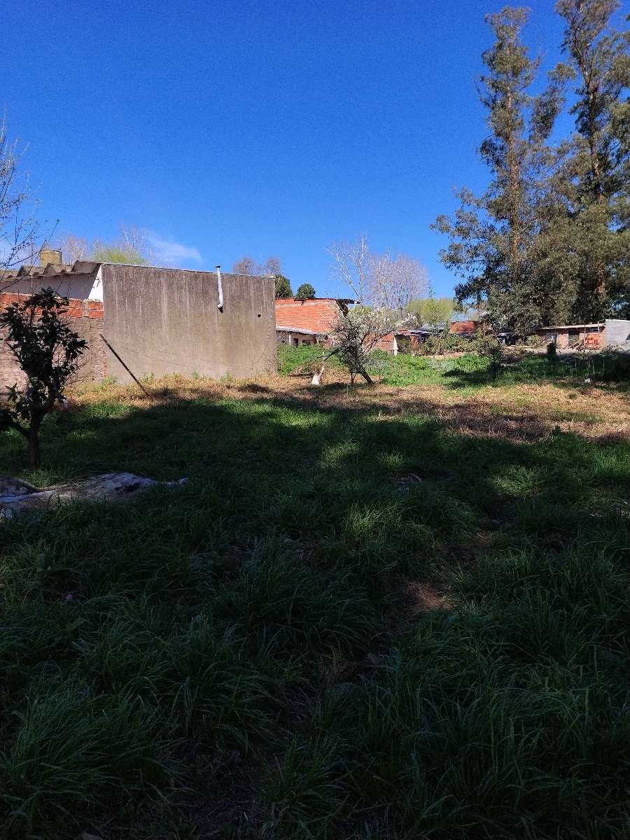 Terreno disponible en Mar del Plata · frente 31 m · largo 16 m · 500 m² de lote · dueño directo - Imagen 4