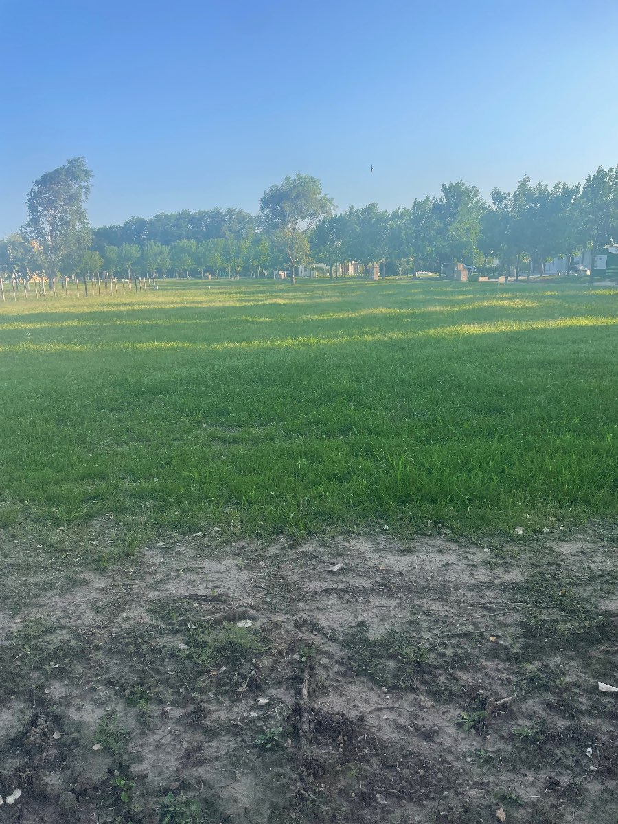 Harás del sur 3, Lote número 1 - Imagen 2