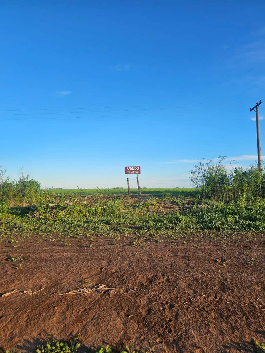 Vendo Lote Sobre Ruta 90 - Frente A Sargento Cabral - Campo en Venta en Rueda con Agrícola y 2 ha - imagen 6