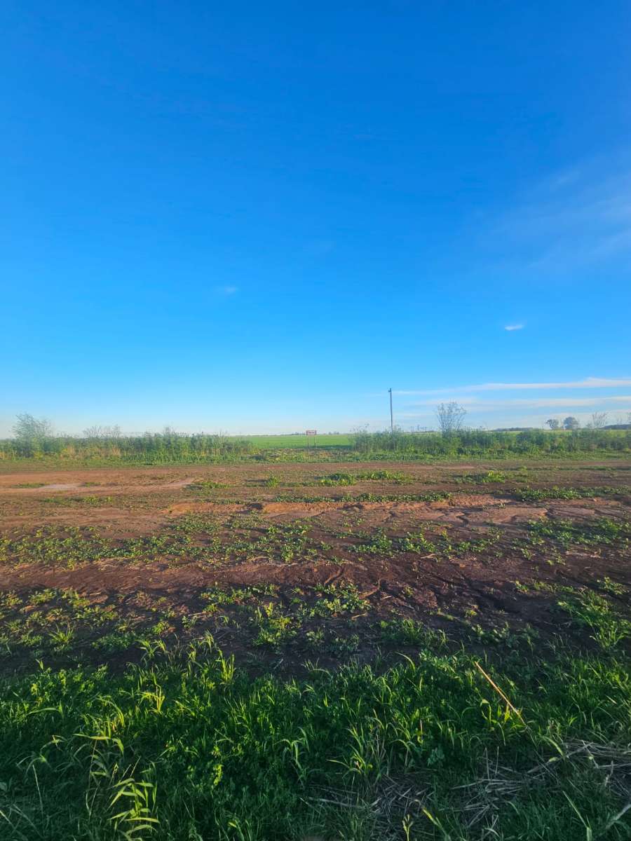 Vendo Lote Sobre Ruta 90 - Frente A Sargento Cabral - Campo en Venta en Rueda con Agrícola y 2 ha - imagen 5