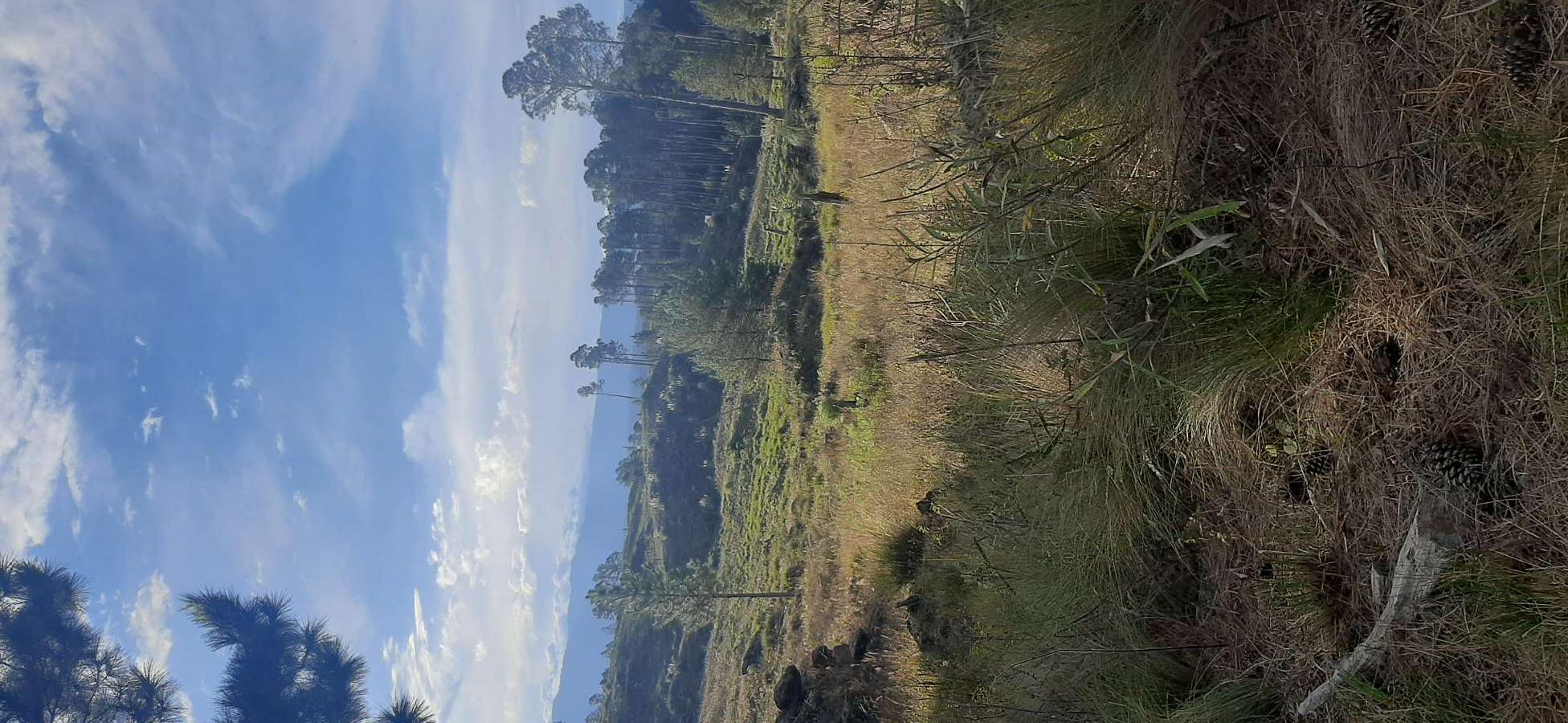 Excelente Terreno en San Miguel de Los Rios en Venta · dueño directo · 50 ha - Imagen 1