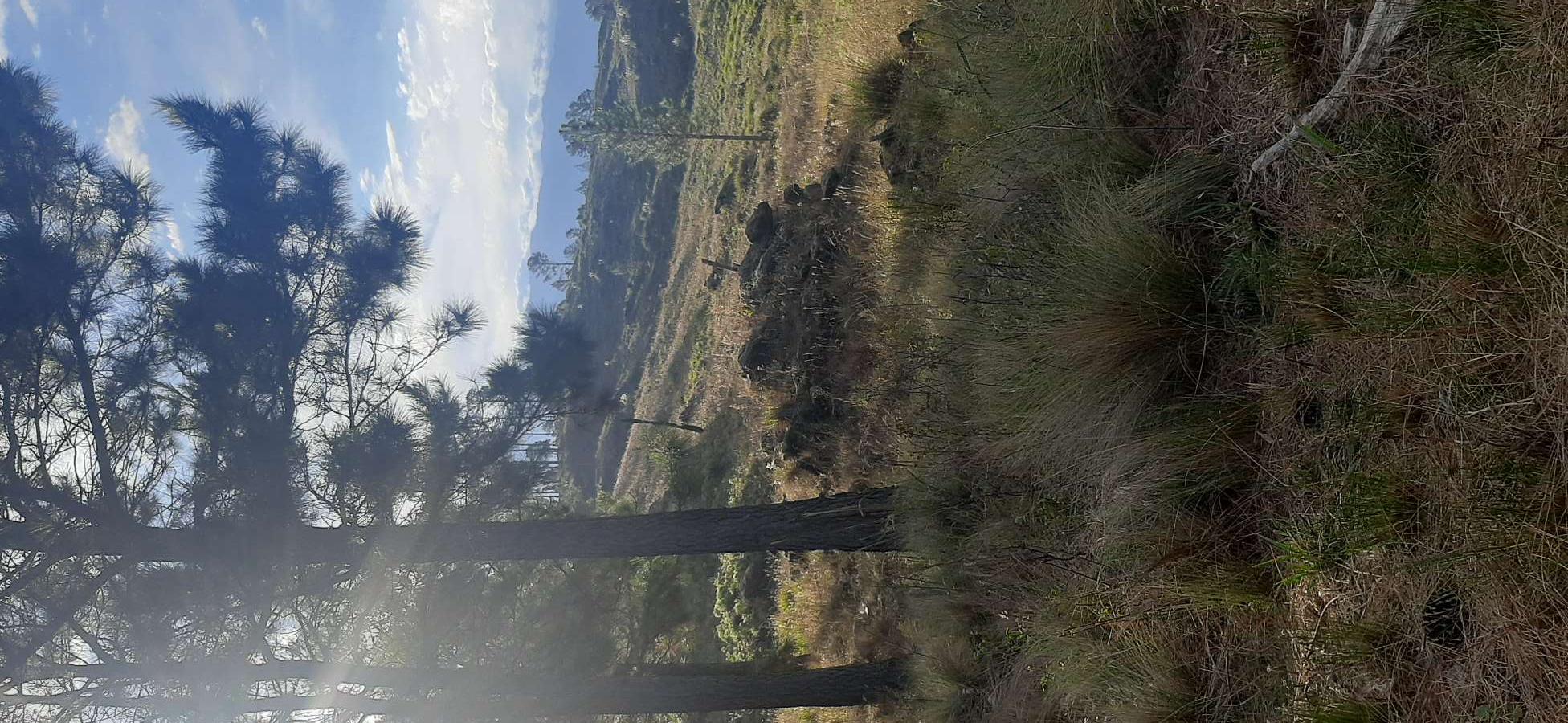 Excelente Terreno en San Miguel de Los Rios en Venta · dueño directo · 50 ha - Imagen 2
