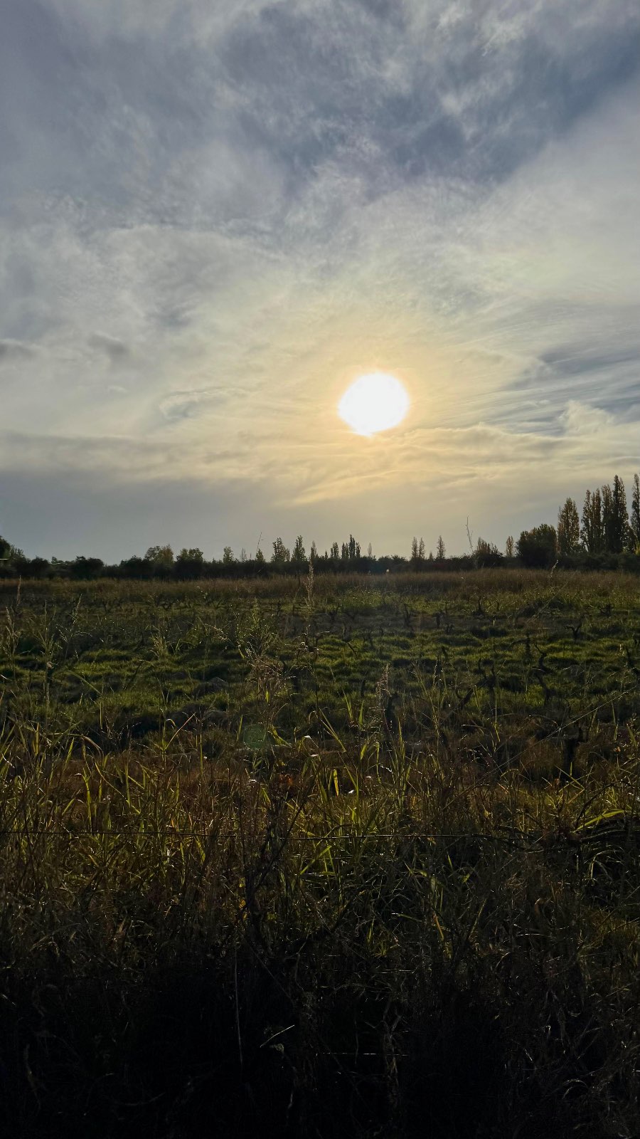chachingo , Maipu