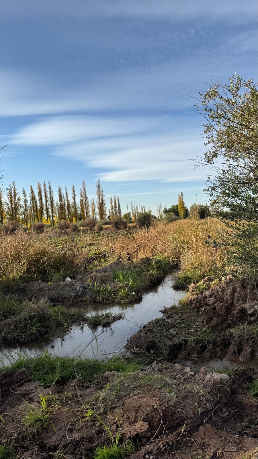 Terreno en Maipu en Venta · dueño directo - Imagen 2