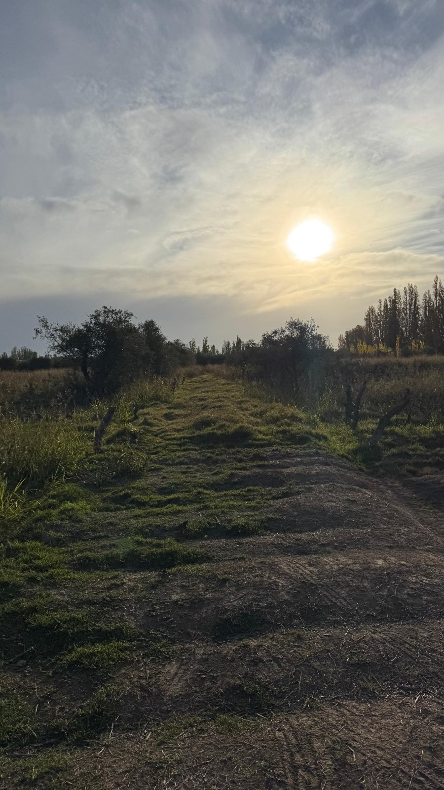Terreno en Maipu en Venta · dueño directo - Imagen 3