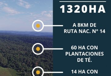 Terreno en Venta en San Vicente con 1.320.000 m² de lote - Imagen 3
