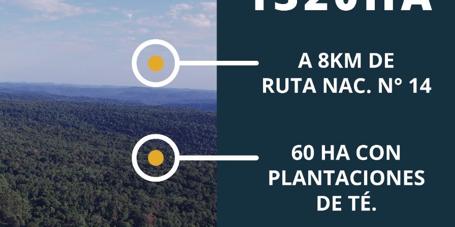 Terreno en Venta en San Vicente con 1.320.000 m2 de terreno - imagen 3