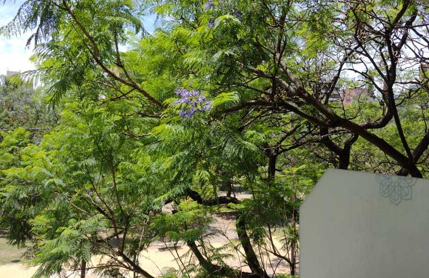 Departamento un dormitorio en Córdoba Capital, Barrio General Paz con balcón frente Plaza - Imagen 2