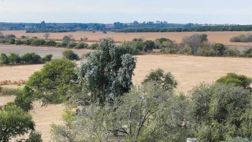 Nace Un Nuevo Barrio Abierto . Oportunidad! - Terreno en Venta en Unquillo con 350 m2 de terreno - imagen 4