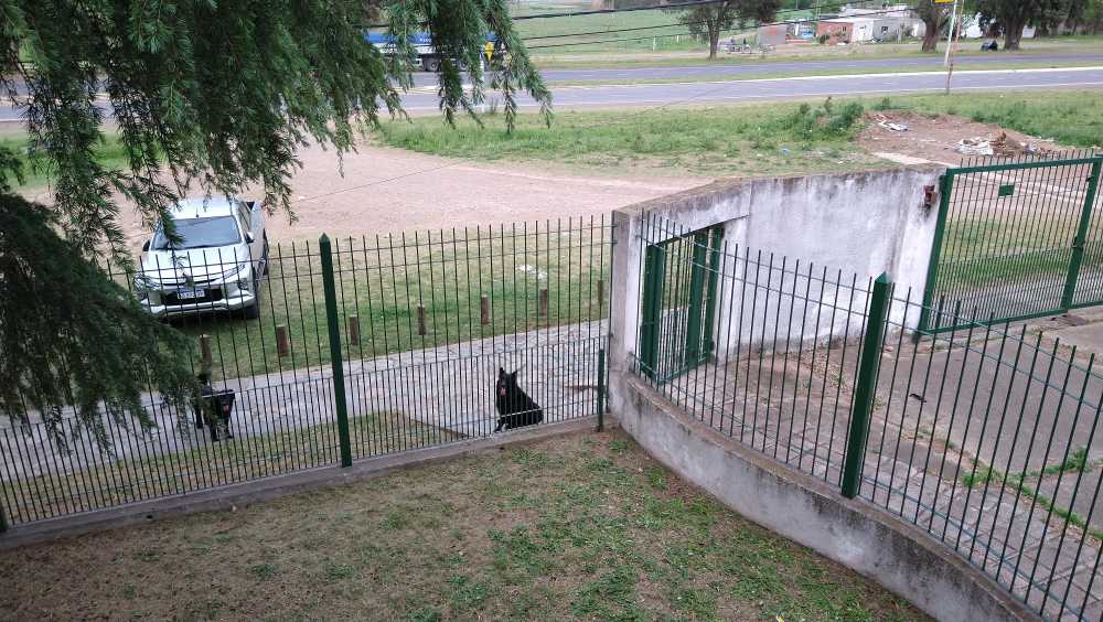 Venta / Alquiler De Importante Galpn Con Oficinas Sobre Ruta 51. - Depósito en Alquiler en Arrecifes con 2.200 m2 cubiertos y 2.200 m2 totales - imagen 8