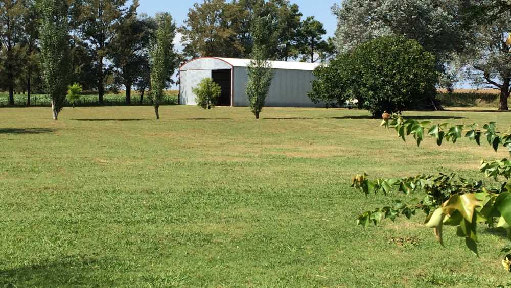 163 Has Agricolas, Cap. Sarmiento (ba) - Campo en Venta en Capitan Sarmiento con Agrícola y 163 ha - imagen 4