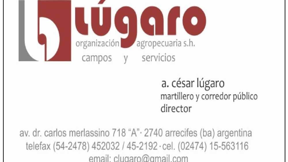 VENTA 70 HAS. AGRICOLAS CON FRENTE A RUTA 191, ARRECIFES (BA) - Imagen 5