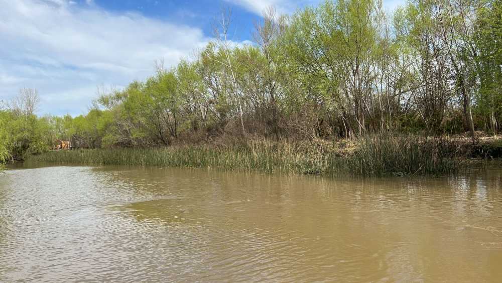 Vendo Terreno En La Isla Arroyo Chaparro - Terreno en Venta en Tigre con 20 m2 de terreno - imagen 3