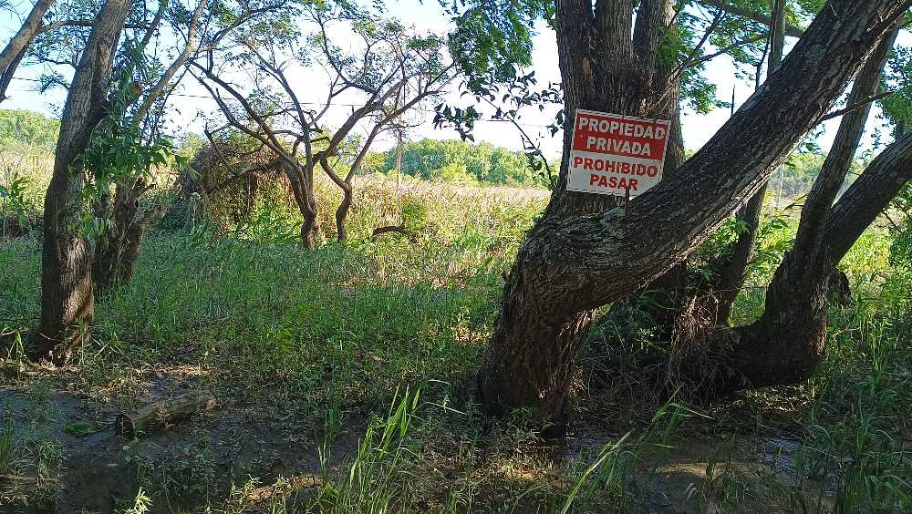 Terreno En La Isla Arroyo Mojarra Tigre - Terreno en Venta en Tigre con 20 m2 de terreno - imagen 5