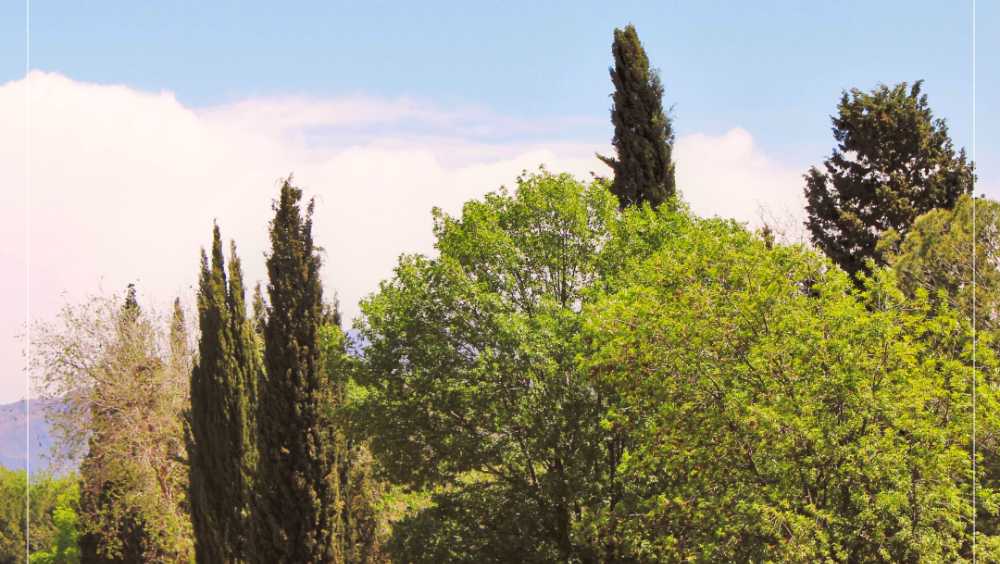 Lote En Venta - Oportunidad Imperdible! - Terreno en Venta en Vistalba con 650 m2 de terreno - imagen 5
